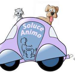 Soluce Animo