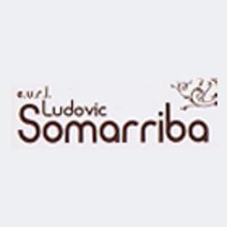 Somarriba Peinture