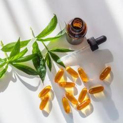 Sophie Chocu, Naturopathe