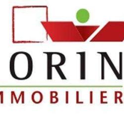 Sorin Immobilier