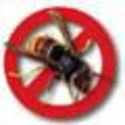 Sos Abeilles Guepes Frelons 44