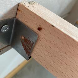 Sos Abeilles Guepes Frelons 44