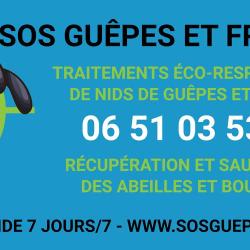 Alsapik Guêpes Et Frelons 68
