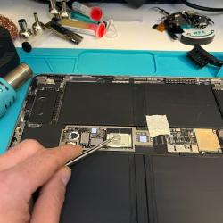 Sosiphoneparis