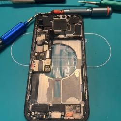 Sosiphoneparis