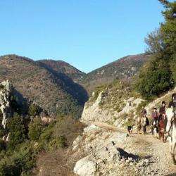 Soubrana Cheval Montagne