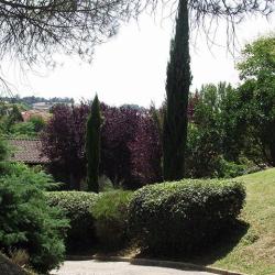 Sourit O Jardin