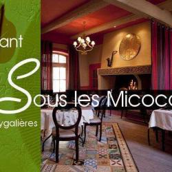 Sous Les Micocouliers