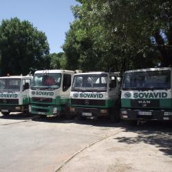 Sovavid