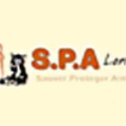 S.p.a.