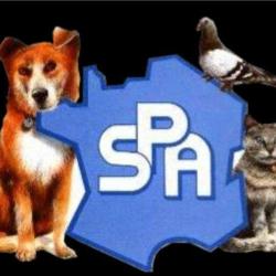 S.p.a