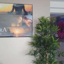 Spa-therapie