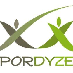 Spordyzen