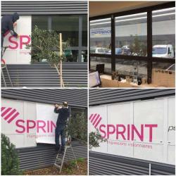 Sprint
