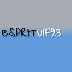 Spritvif93