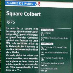 Square Colbert