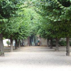 Square Des Acacias