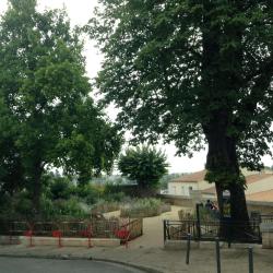 Square Du Maréchal Foch