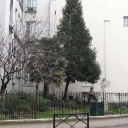 Square Honoré-champion