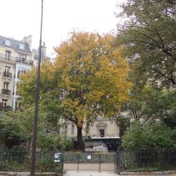 Square Paul Painlevé