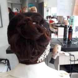 Artist's Coiffure