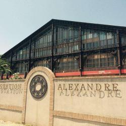 Station Alexandre