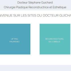 Stephane Guichard