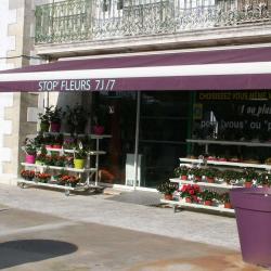 Stop Fleurs