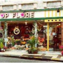 Stop Flore