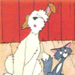 Story Dog Toilettage