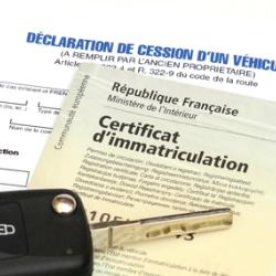 Str Auto Pavillons - Service Carte Grise