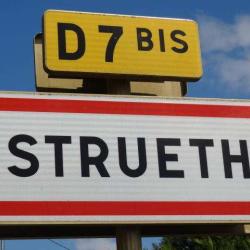 Strueth
