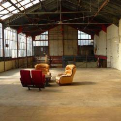 Studio Albatros