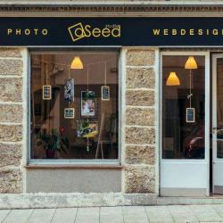 Studio Aseed