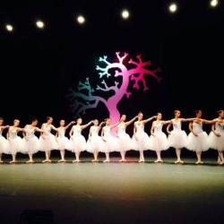 Studio De Danse
