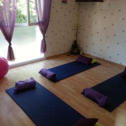 Studio De Yoga Zenattitude