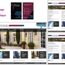 Studio Graphique Vsdcom