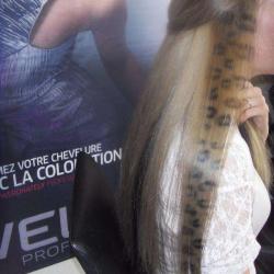 Styl Coiff