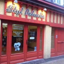 Styl Peluche