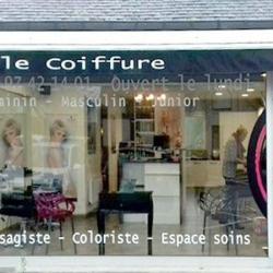 Style Coiffure