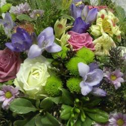 Subbio Fleurs