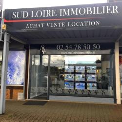 Sud Loire Immobilier