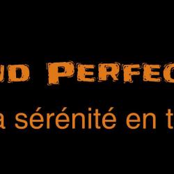 Sud Perfect Securite Agence De Securite Marseille