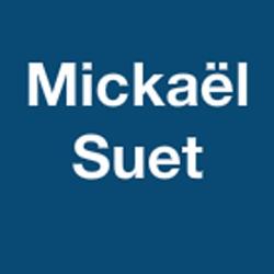 Suet Mickaël