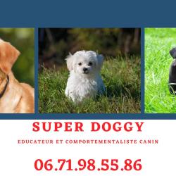 Superdoggy