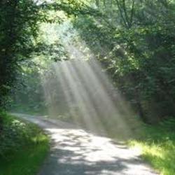 Sur Le Chemin De Sophie