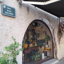 Suzanne & Max Artisan Fleuriste