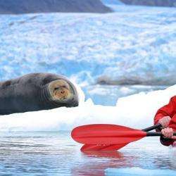 Svalbard Nature