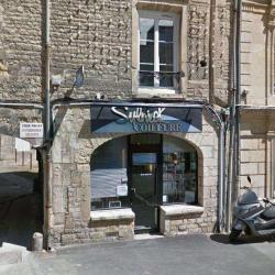 Sylnick Coiffure