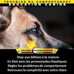 Sylvain Lemoussu - Coaching Dog